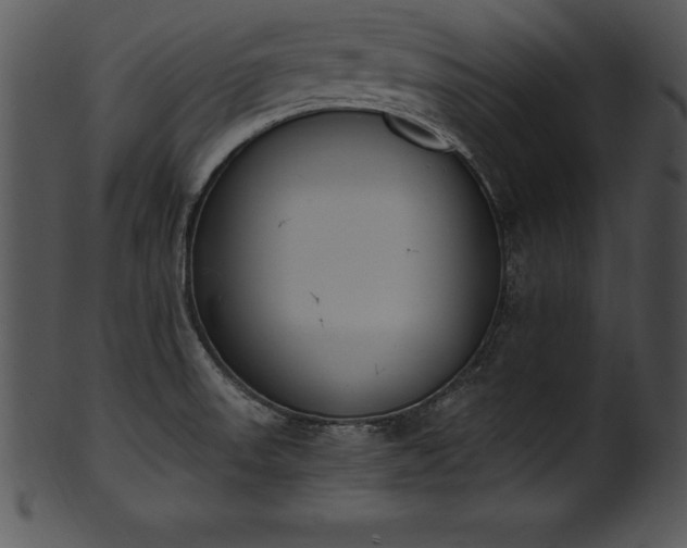 X0000101461523200807141255