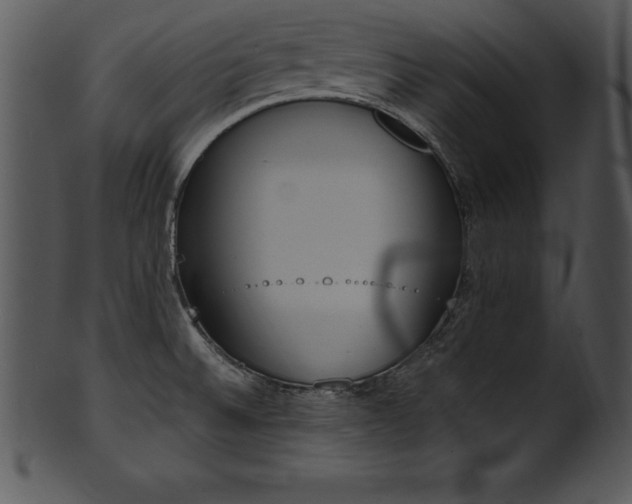 X0000101461524200807141255