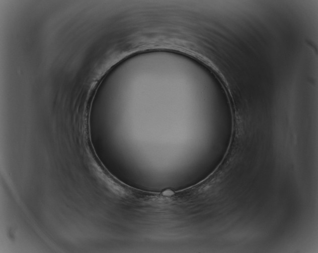 X0000101461525200807141255