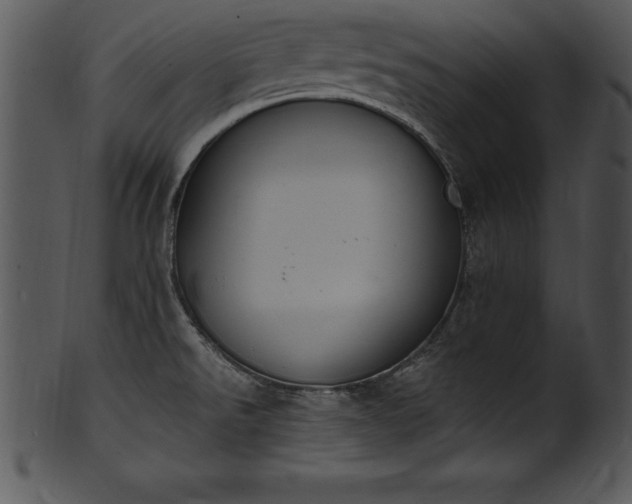 X0000101461526200807141255