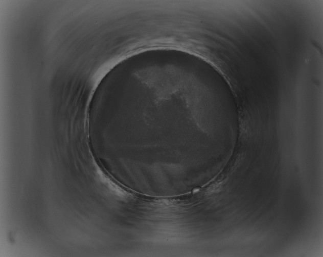X0000101461527200807141255
