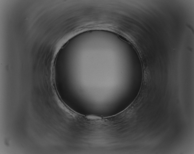 X0000101461528200807141255