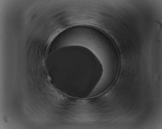 X0000101461529200807141255