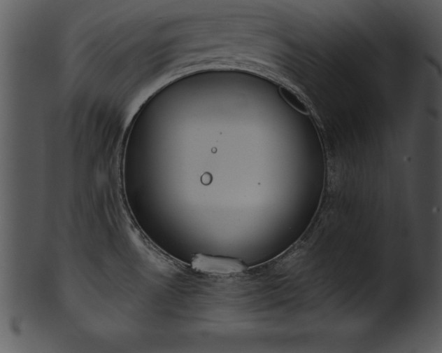 X0000101461530200807141255