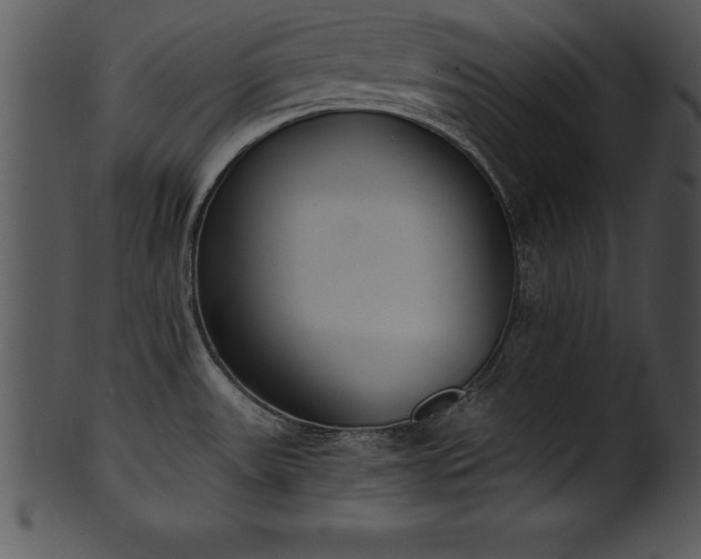 X0000101461531200807141255