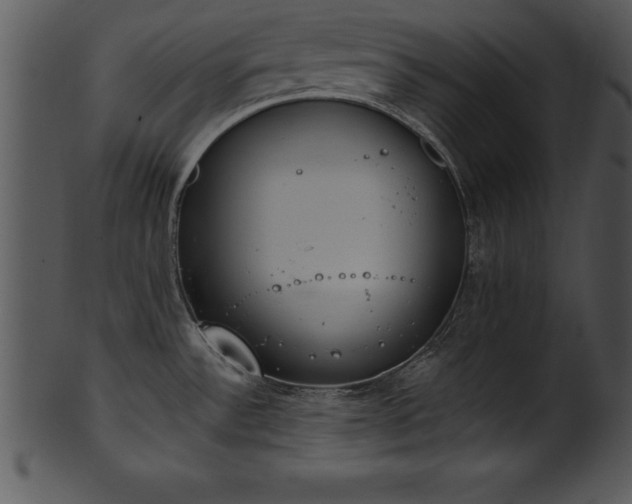X0000101461532200807141255