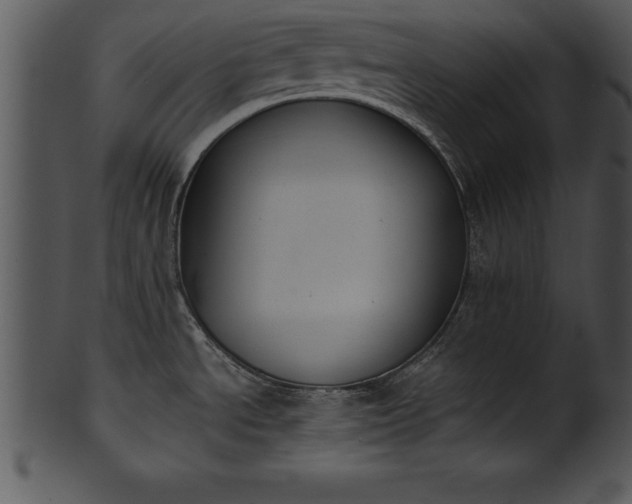 X0000101461534200807141255