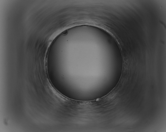 X0000101461535200807141255
