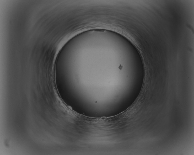 X0000101461536200807141255