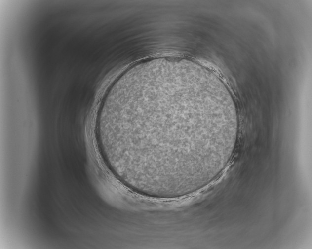 X0000101460001200807211343