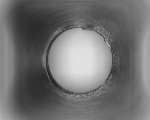 X0000101460003200807211343