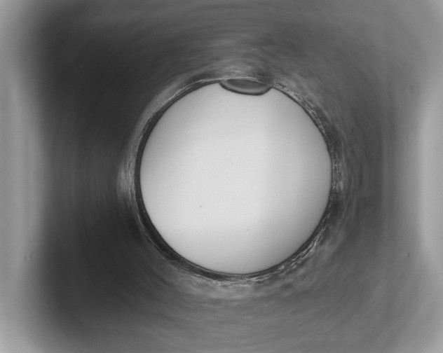 X0000101460004200807211343