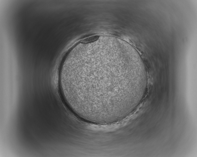 X0000101460005200807211343