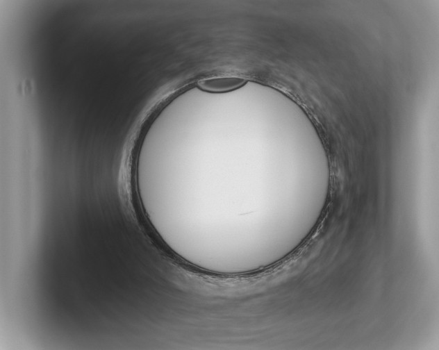 X0000101460006200807211343