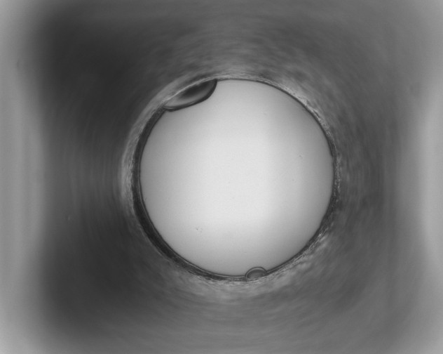 X0000101460007200807211343