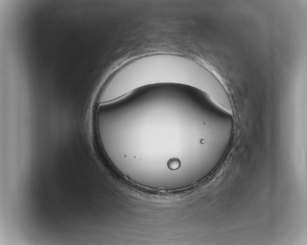 X0000101460008200807211343