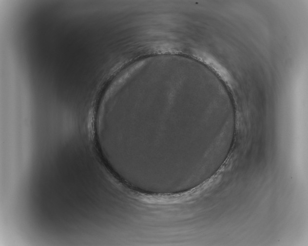 X0000101460009200807211343