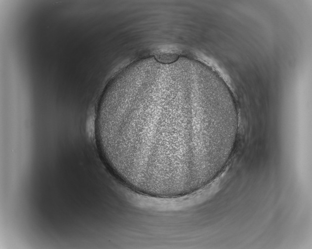 X0000101460010200807211343