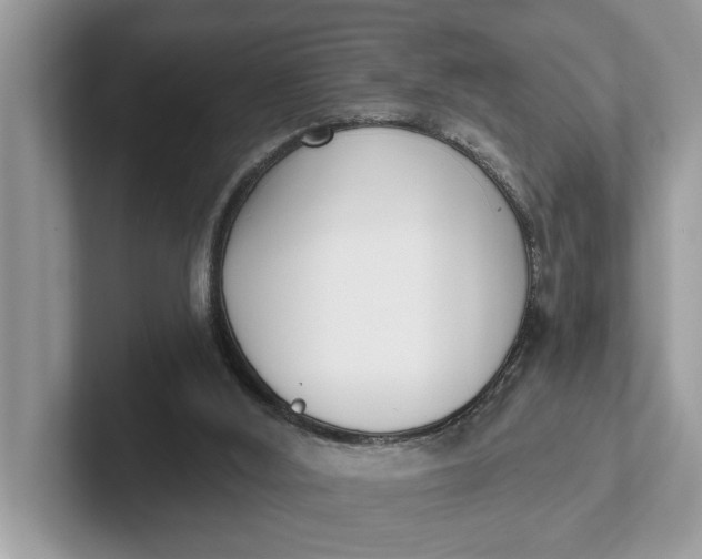 X0000101460012200807211343