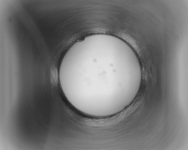 X0000101460013200807211343