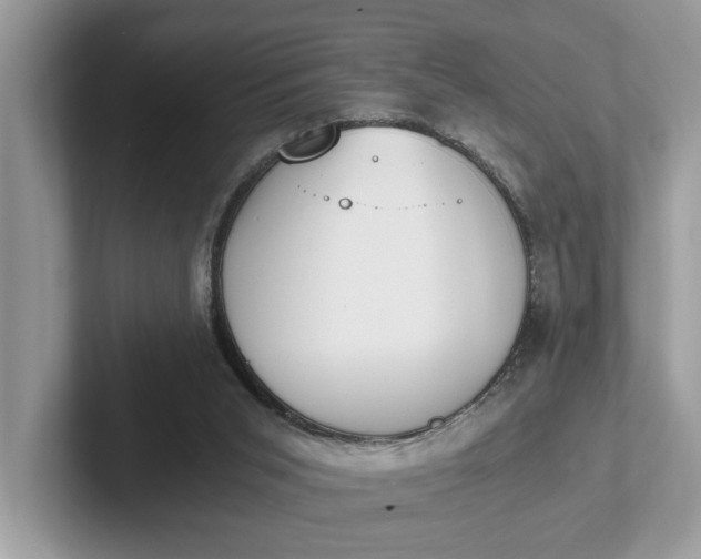 X0000101460015200807211343