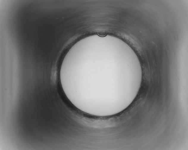 X0000101460016200807211343