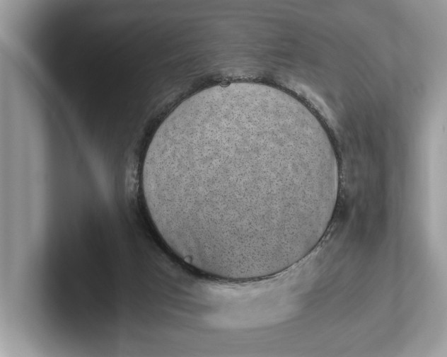 X0000101460017200807211343