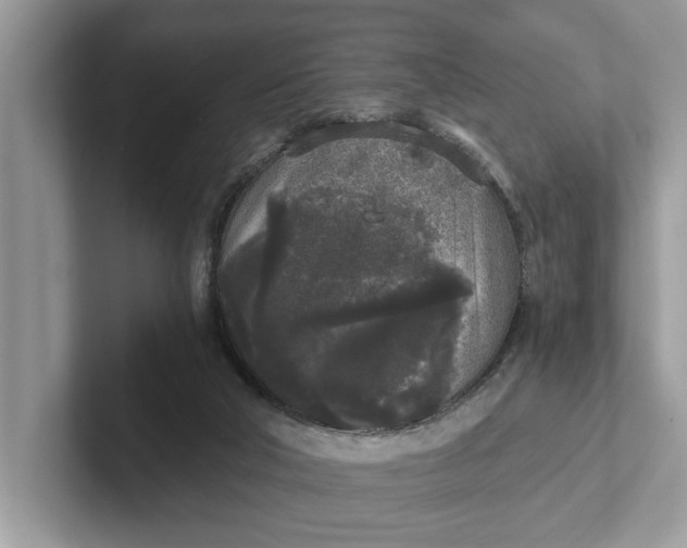 X0000101460018200807211343