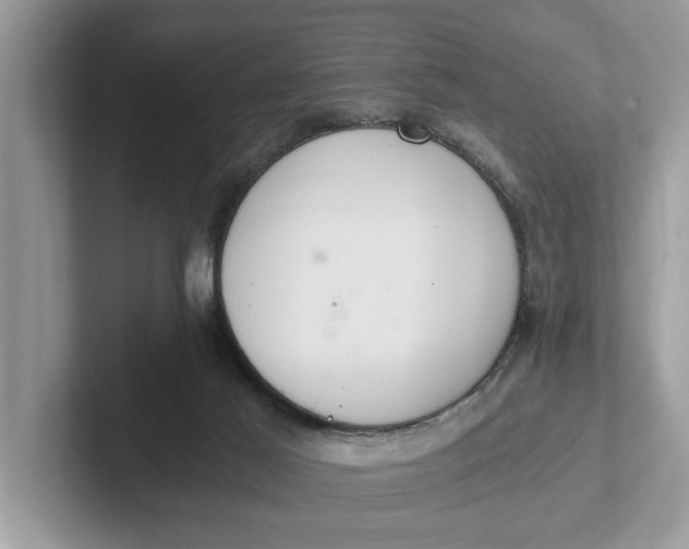 X0000101460021200807211342