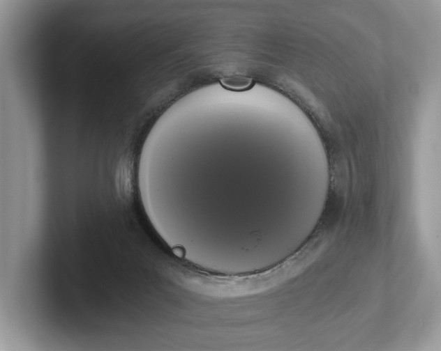 X0000101460023200807211342