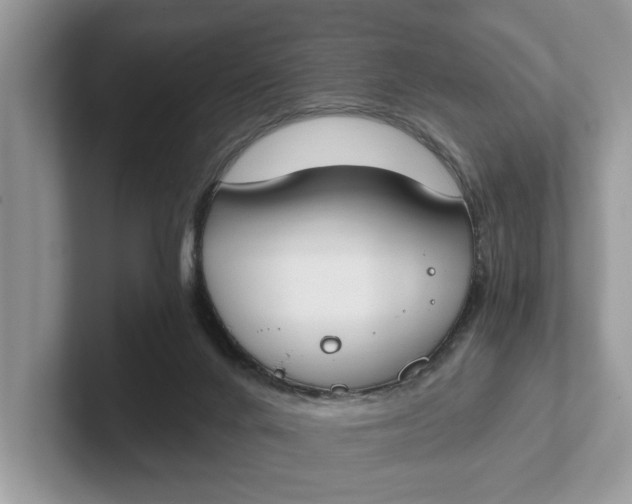 X0000101460024200807211342