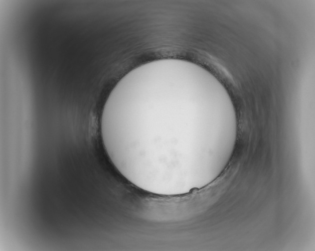 X0000101460025200807211342