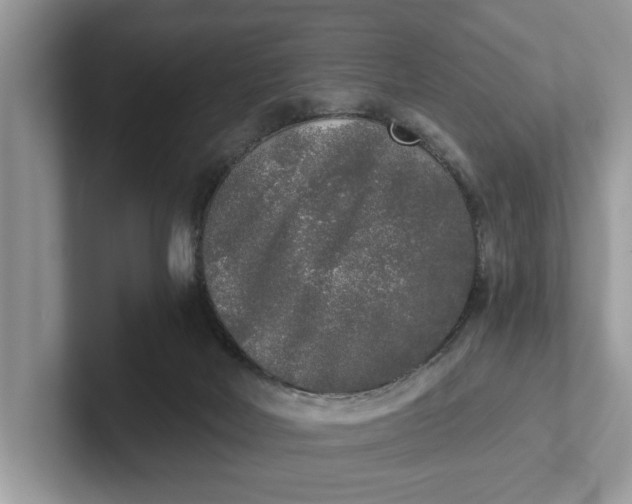 X0000101460026200807211342