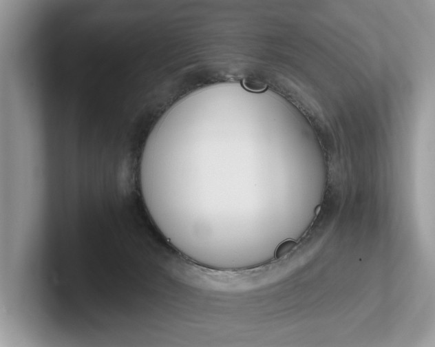 X0000101460030200807211342