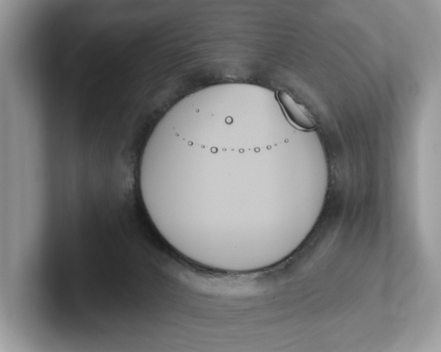 X0000101460032200807211342