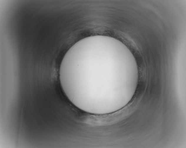 X0000101460033200807211342