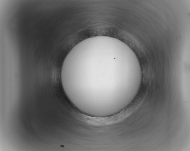 X0000101460034200807211342