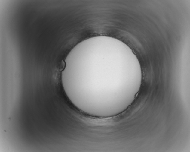 X0000101460036200807211342