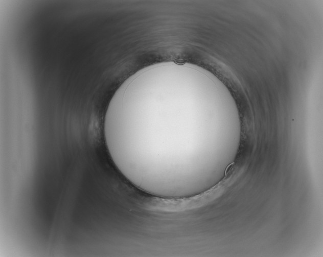 X0000101460037200807211342