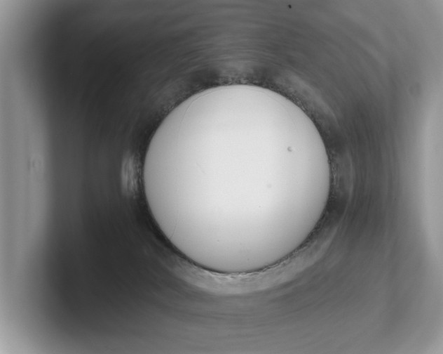 X0000101460038200807211342