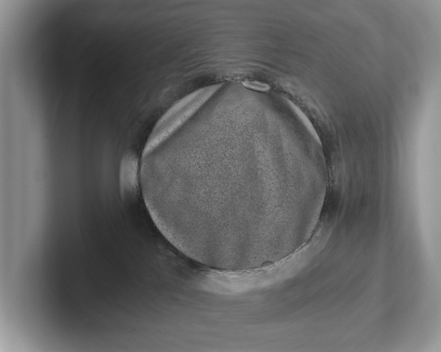 X0000101460041200807211342