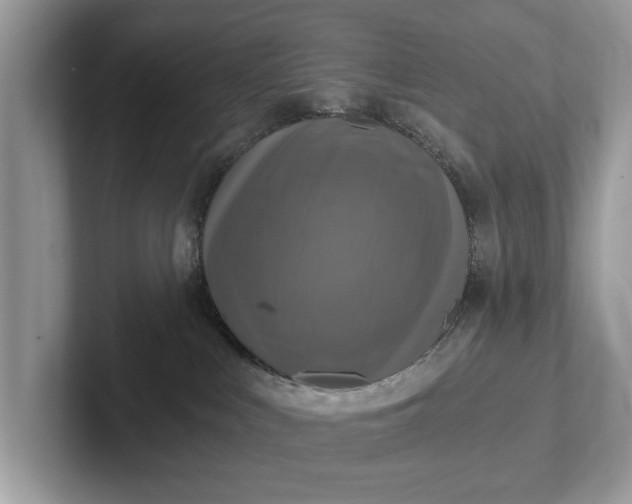 X0000101460043200807211342