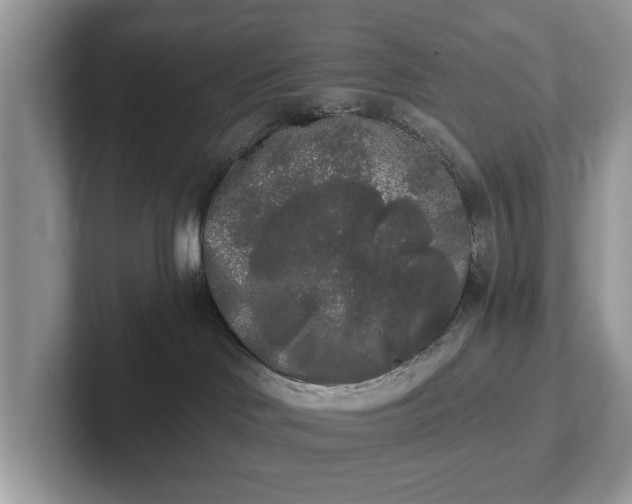 X0000101460046200807211342