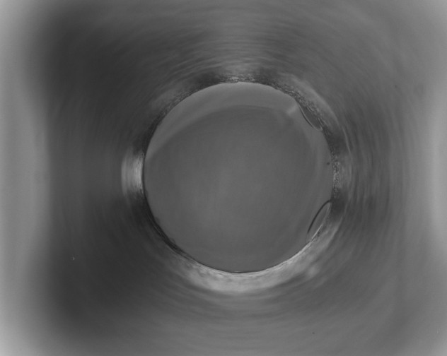 X0000101460047200807211342