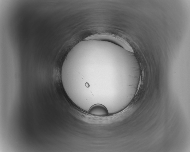 X0000101460048200807211342