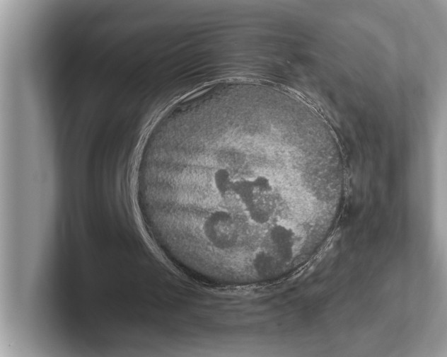 X0000101460049200807211341