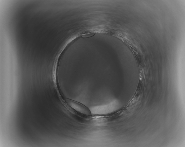 X0000101460052200807211342