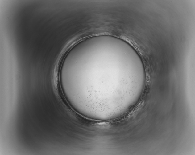 X0000101460053200807211342