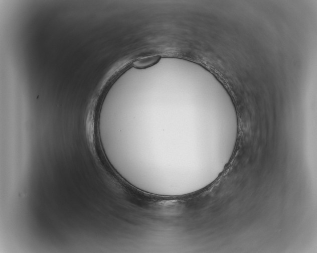 X0000101460054200807211342