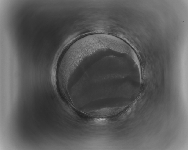 X0000101460055200807211342